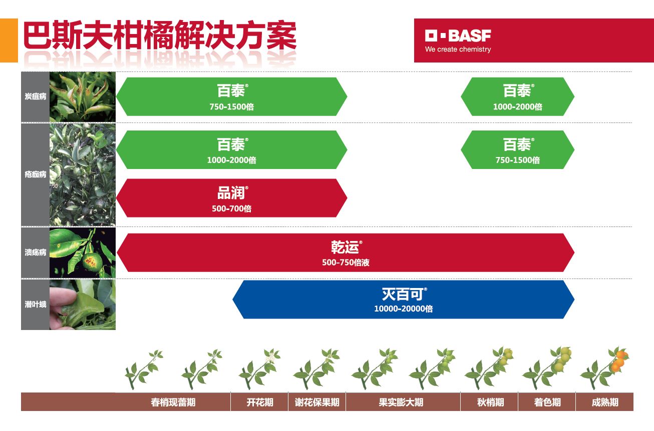 巴斯夫柑橘解决方案